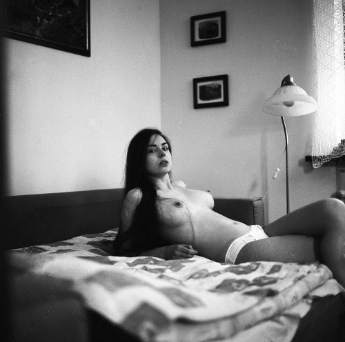 narcense76:  veedrien 
