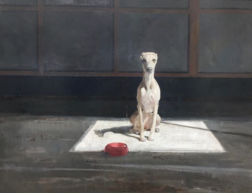 huariqueje:Dog in skylight  -  Pieter Pander Dutch, 1962)Oil on panel, 60 x 78 cm.