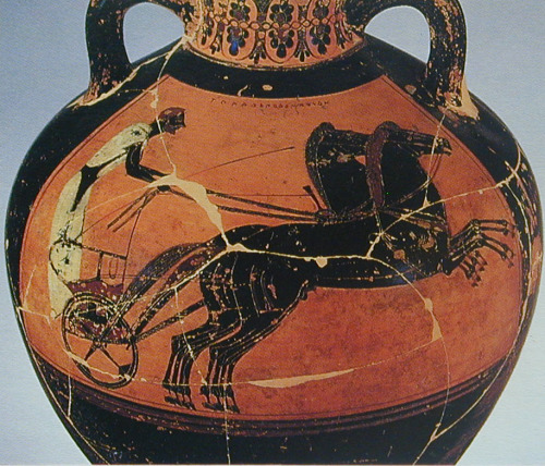 A charioteer in action.  Side B of a black-figure Panathenaic amphora, attributed to the painter Lyd