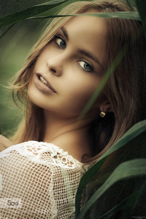 Photografiae