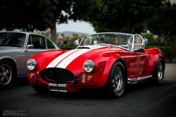 davidcoyne13:  Shelby on Flickr. 