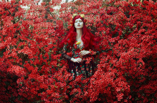 bellakotak:In the Ruby Garden…Photo series by @bellakotak​ | Instagram | FacebookBella’