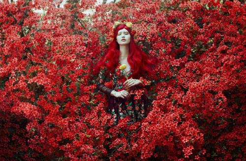 bellakotak: In the Ruby Garden…Photo series by @bellakotak​ | Instagram | FacebookBella&rsquo