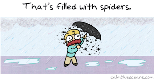 tomche // previously thedailylaughs