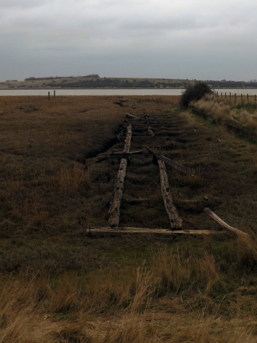 Oare Marshes