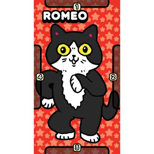 Romeo! A new friend to add to the team. He’s a tuxedo cat who loves dancing and taking long walks on