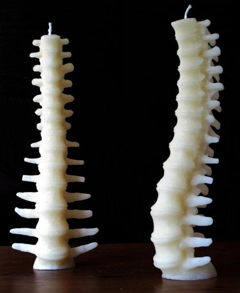 trillista-goth:  Unique handmade white beeswax spine shaped candle with self trimming