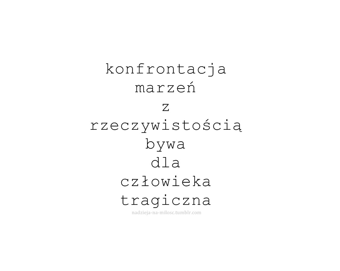 Witaj przybyszu!