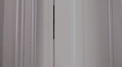 whouffle:  You know what’s wrong with you, Miss Whoever-You-Are? You’re chicken,