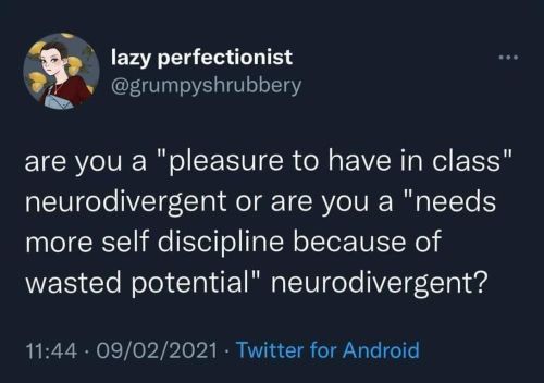 Are You Apleasure To Have In Class Neurodivergent Or Are You Aneeds More Self Discipline Because Of Wasted