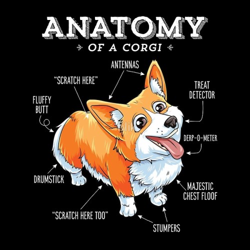 whirelez - Anatomy of a Corgi T-Shirt Funny Dog...