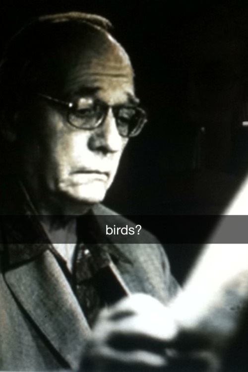 snapbachs:Messiaen sure liked his birdsongBIRDS