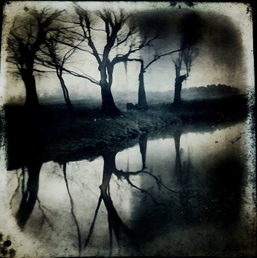 Lake 101123