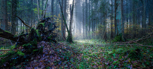 Enter the Darkness . +100 Favorites tkx :) by Greg Joltok on Flickr.