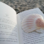 bi-bookdragon