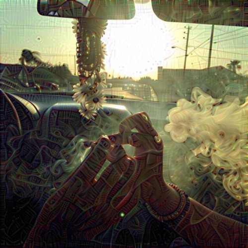 r-trees:  hotbox sesh