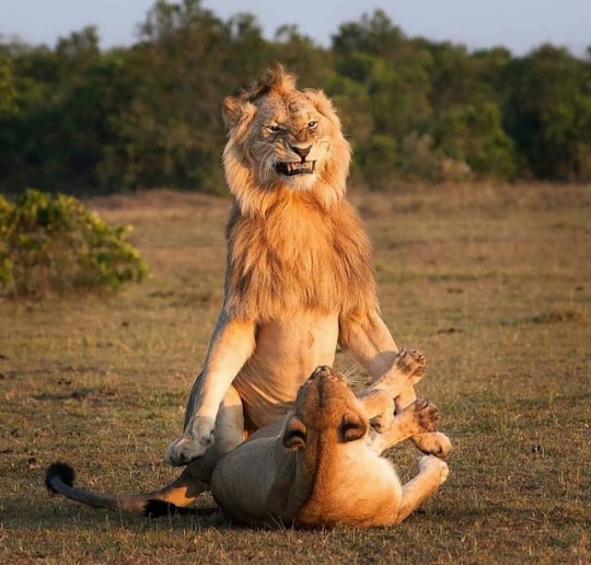 50doneright:  hisbeauty83:  😍  Omg…..   So Epic of a picture….. 