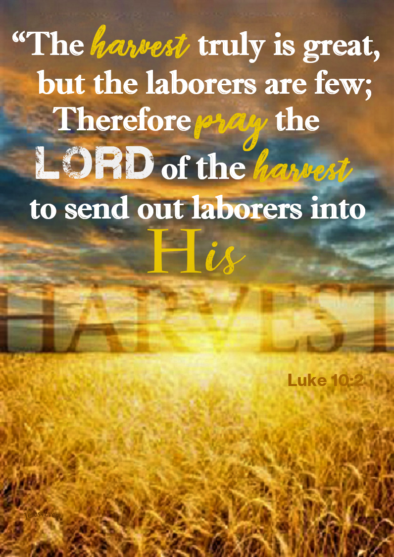 The Living... — Luke 10:2 (NKJV) - Then He said to them, “The...