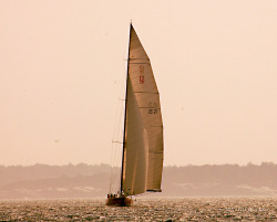 thefullerview:  Sailing, Newport (by TheFullerView)  American Eagle
