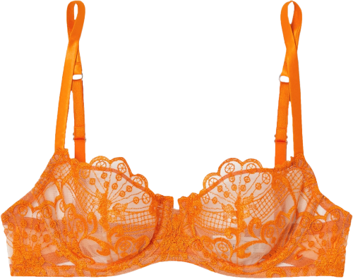 lace-mood:  i.d. sarrieri bra 