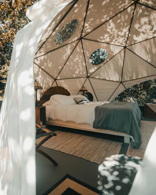 wild-cabins:  Bennett Young