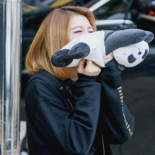 Dami icons *:.•♢°