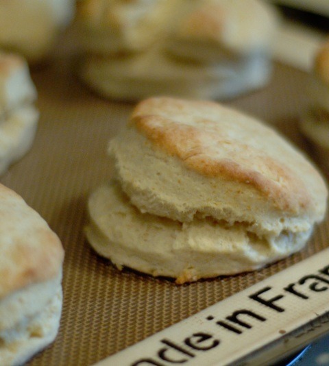 Perfect Breakfast Biscuits