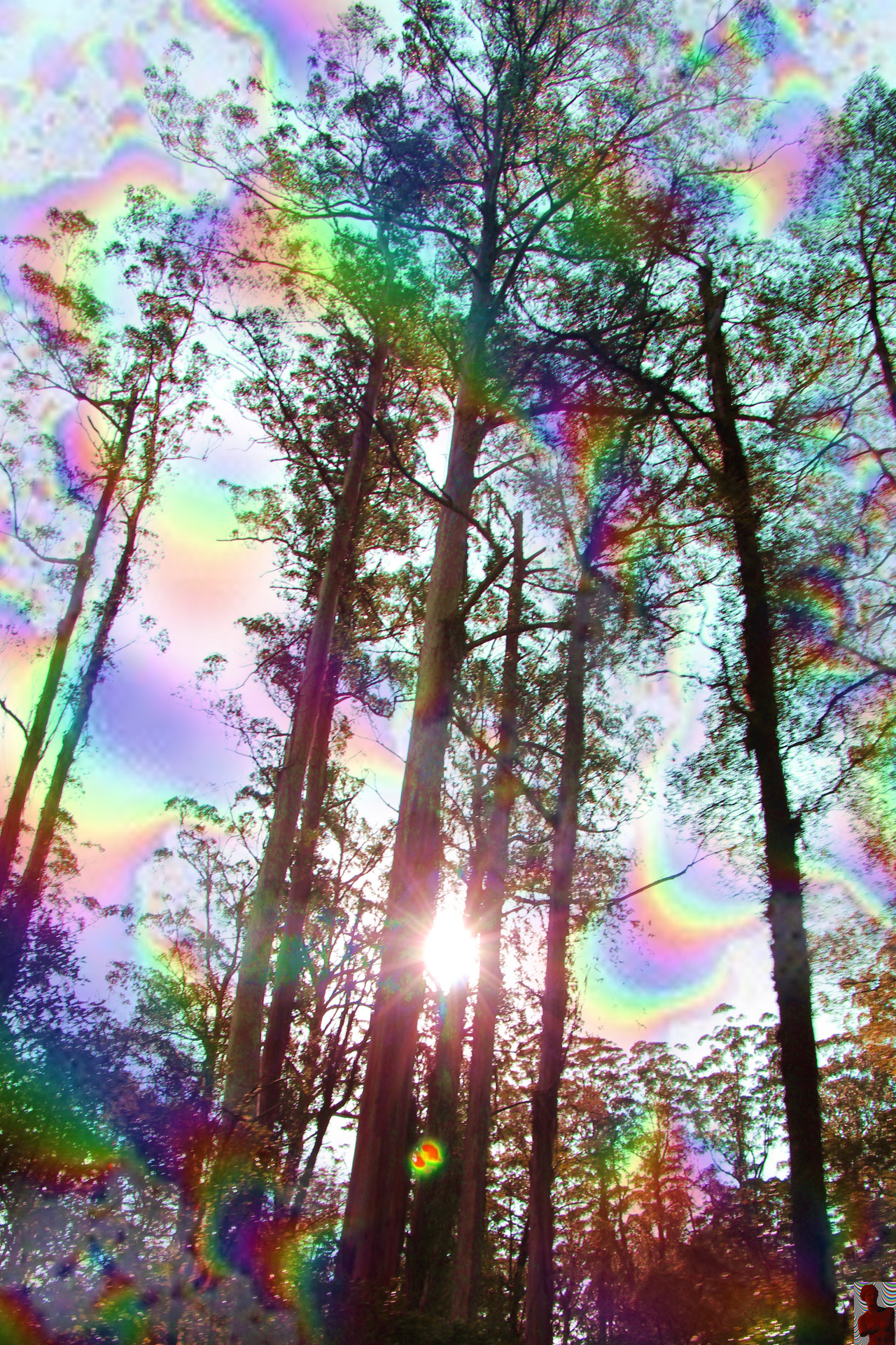 pureblindingcolour:  Tall Boysby pureblindingcolour An old fave that made it to Tumblr