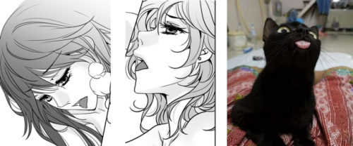 XXX I see no difference…(editing ch45) photo