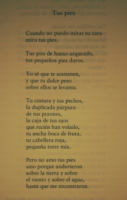 pabloneruda-world:Pablo Neruda. Tus pies.