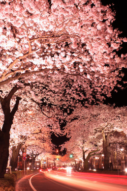 breathtakingdestinations:  Wakabacho - Japan