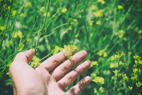 *gestures to plant*