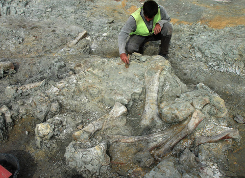 cloudair-paleontology:Fieldworks at Lo Hueco. Late Cretaceous. Cuenca. Spain. 2007