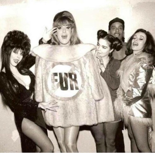 glitterandghouls:Elvira, Lady Bunny, Björk, Willie Ninja and Lady Miss Kier.