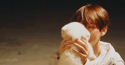 sweethyung:which is cuter tae or the puppy?