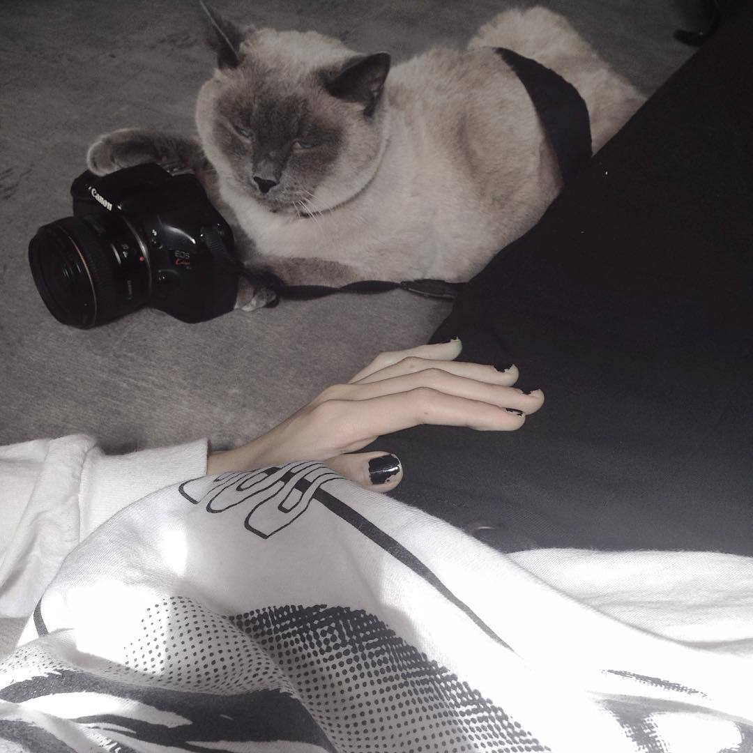 plaaastic:  the “person” behind my photos 