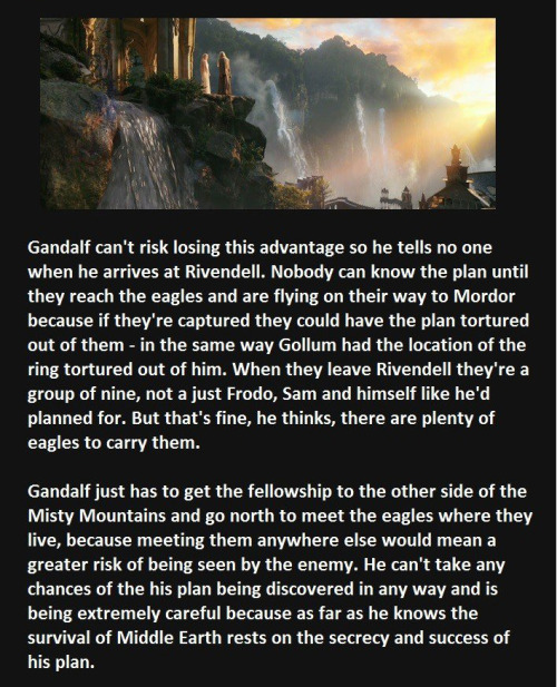 hoganddice: scorpysue: valarauka: isildur-elessar: Oh shit… The eagles are not a plot hole. T