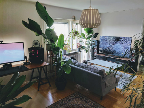 I’m really into tech and plants.