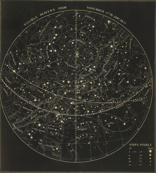 marthajefferson:itschis:David Rumsey Historical Map Collection1850 Star Chart