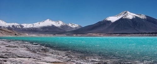 ugly-pizza-mermaid:  Catamarca-Argentina