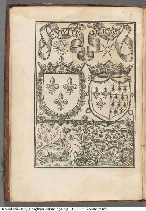 Lemaire de Belges, Jean, 1473- Les illustrations de Gaule et sĩgularitez de Troye, 1512.Typ 515.12.5