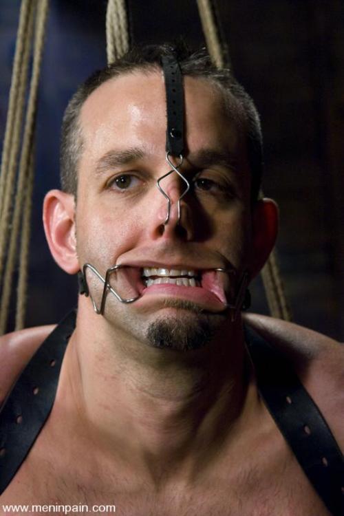 Sex malebondagepigs:  Nosehooks and dental gags pictures