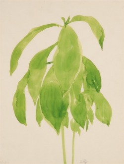 Ellsworth Kelly, Plant, 1957     Photo: Courtesy Of The Carnegie Museum Of Art