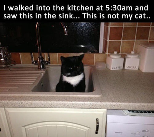 death-by-lulz:   Via/Follow The Absolute Greatest Posts…ever. 