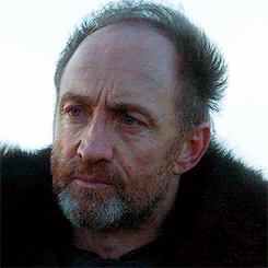 lordofdragonstone:  The North is larger than the other six kingdoms combined, and