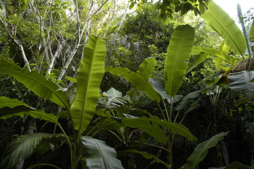 p-andakid: .