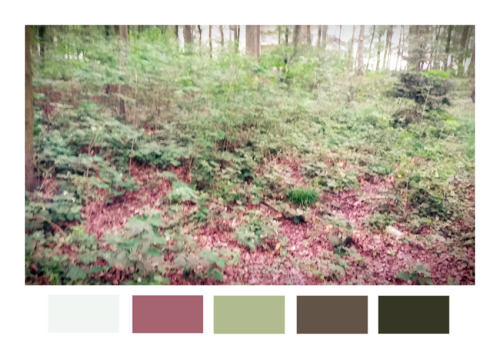 junidyle-deactivated20140718:Colours of the woods, 25 km away from Paris