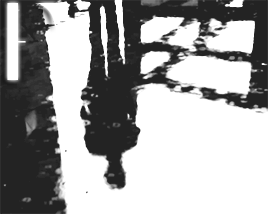 mattyhewhealy:  make me choose: ↳ the1975loves: facedown music video or me music video?