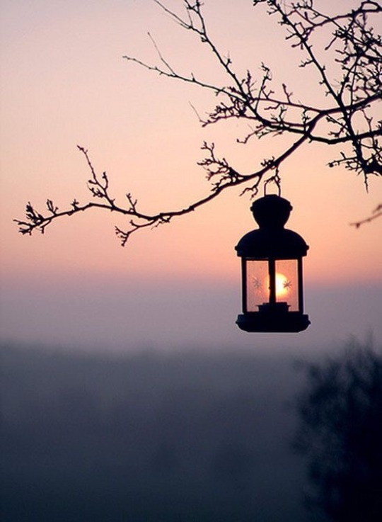 brilliantlybeloved: 