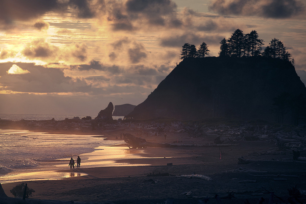 brutalgeneration:  Beach bones and a sunset (by sparth) 